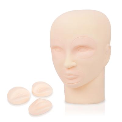 China Cosmetology Mannequin Heads Practice Mannequin Microblading Tattoo Teaching Head-shape HF-1 for sale