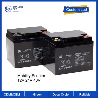 중국 ODM OEM LiFePO4 리?? 배터리 팩 4 휠 모빌리티 스쿠터 휠체어 맞춤형 배터리 12V 24V 48V 판매용