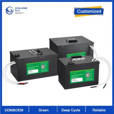 Chine OEM ODM LiFePO4 batterie au lithium AGV Système de véhicules guidés automatiques 24v 80v à vendre