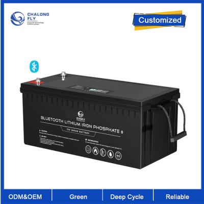 Cina OEM ODM LiFePO4 batteria al litio 12V 200Ah batteria al litio batteria personalizzata pacchetti di batterie al litio in vendita