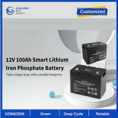 Κίνα OEM ODM LiFePO4 μπαταρία λιθίου 12V 100Ah μπαταρία λιθίου έξυπνος βαθύ κύκλο εξατομικευμένη μπαταρία μπαταρίες λιθίου προς πώληση