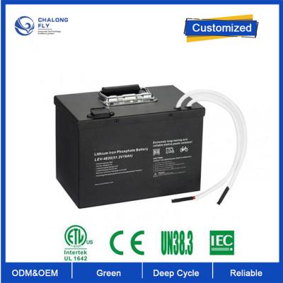 China OEM ODM LiFePO4 lithiumbatterij 24100 24v 200ah Lifepo4 batterij Op maat gemaakte batterij lithiumbatterijen Te koop