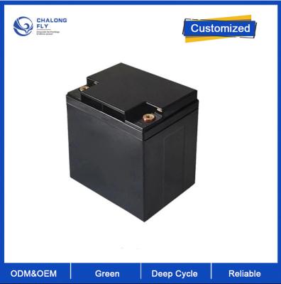 China OEM ODM LiFePO4 Lithium zonnebatterij opslag systeem oplaadbaar 12V 18Ah 25Ah 30Ah 384Wh Te koop