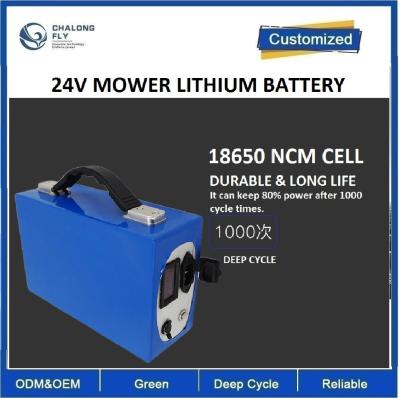 Cina CLF 24V 48V 12AH 20ah tagliaerba elettrica OEM piccole batterie al litio Ferro pacchetti di batterie in vendita