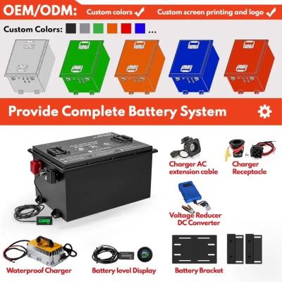 China OEM ODM LiFePO4 Customized Golf Cart Lithium Battery Pack Lithium Ion Battery 48V for sale