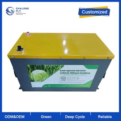 China OEM ODM LiFePO4 Lithiumbatterie-Pack kundenspezifischer Gabelstapler Lithium-Ionen-Batterie 48V 200Ah zu verkaufen