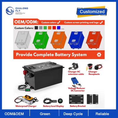 Cina OEM ODM Batteria al litio LiFePO4 48V 400AH 600AH 800Ah Deep Cycle Per per il sistema solare Batteria di stoccaggio dell'energia LiFePO4 in vendita