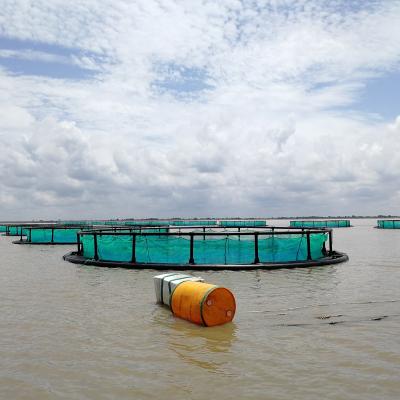 China fish farming lake cages for hdpe floating fish cages farms Te koop