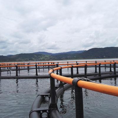 China HDPE floating farming fish cage net cages Zambia Lake Kariba farms cages zu verkaufen