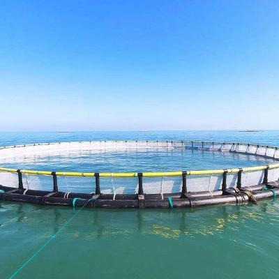 China High quality hdpe aquaculture fish farming floating net cages equipment for tilapia fishing cages zu verkaufen