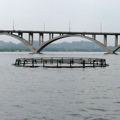 중국 Plastic HDPE Floating square Fish Farming Cage in fresh water floating fish cages for sale 판매용