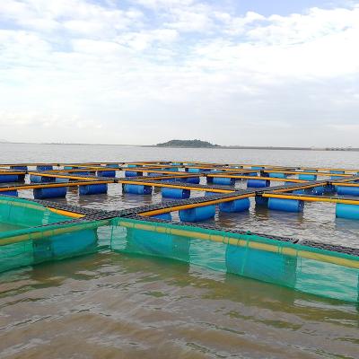 China catfish farm/trout cage farm/carp cage farm HDPE floating farming fish cage for sale