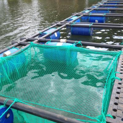 China Aquaculture Anti -UV fish farming net cage floating cage for sale