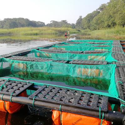 China HDPE pipe frame Square floating ish net cage in sea or lake zu verkaufen