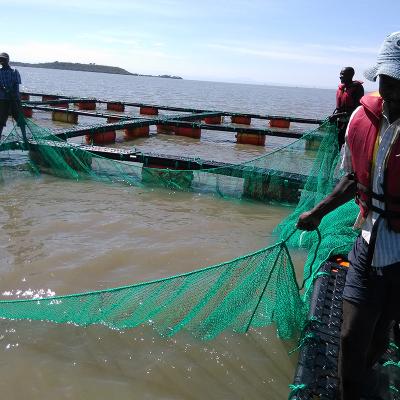 Cina HDPE Bracket Floating hdpe fish farming cage floating in vendita