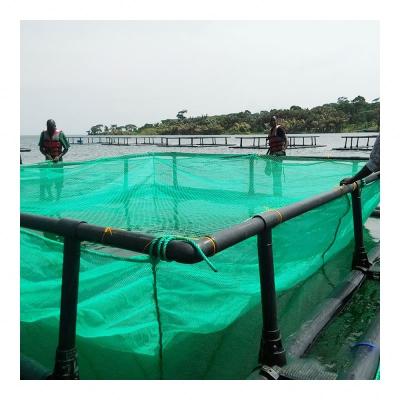 China Reliable Fishing Equipment Traditional Square Fish Cage Cage Floating Fish Breeding Cage for sale