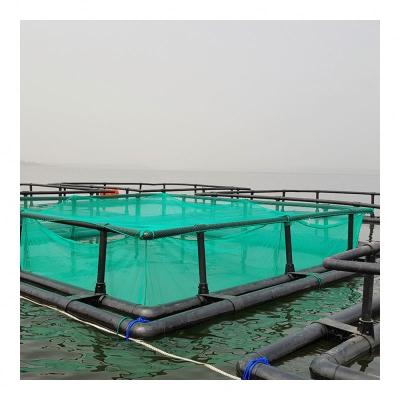 China 8mx8m HDPE/PE traditional square fish cage cage aquaculture square fish cage floating net tilapia zu verkaufen