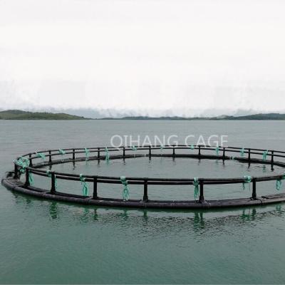 China High quality HDPE pontoon cages platform for tilapia farming for sale