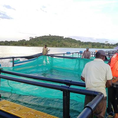 China Tilapia HDPE Fish farming Square Square Cages in Fresh Water and Sea Water for sale