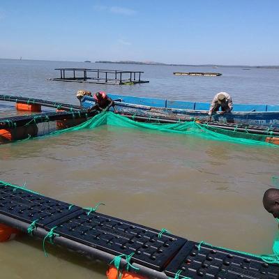 China aquaculture fish farming Square Cages in the sea or ocean with hdpe pipe frame and PE net for sale