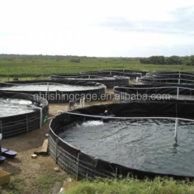 China HDPE circular aquaculture tanks for outdoor fish farming en venta