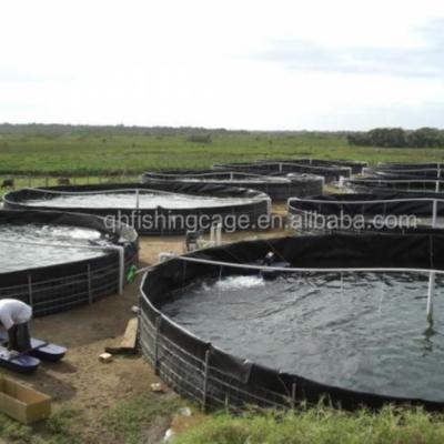 China aquaculture tanks for fish farming in south America zu verkaufen