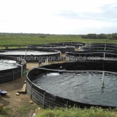 중국 circulating aquaculture tanks for lungfish 판매용