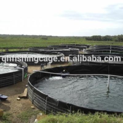 Κίνα the most simple recirculating aquaculture system(RAS) for tilapia προς πώληση