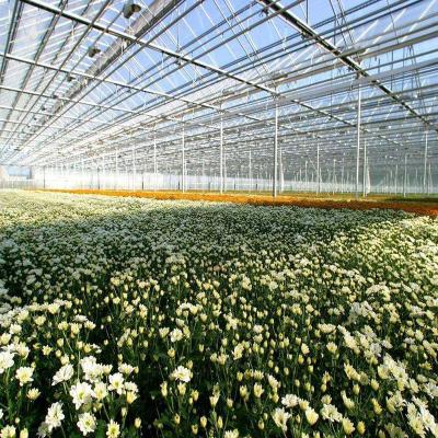 China Arch type commercial greenhouse hydroponics PC sheet greenhouse for Rose flower venlo type for sale