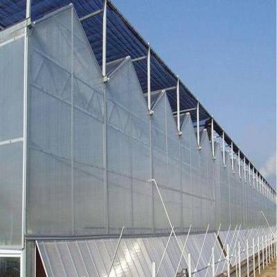 China Venlo PC Sheet Greenhouse Steel Pipe Hot Dip Galvanized Agriculture Type For Salad for sale