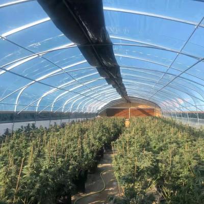 China Plant Growth 3000 Square Feet Blackout High Greenhouse Deprivation Light Tunnel for sale