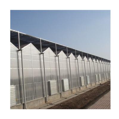 China Commercial Hydroponic Vegetable Growing Systems PC Sheet Greenhouse For Vegetable for sale