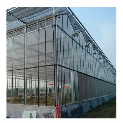 China Stable Structure Commercial Agricultural Venlo Glass Greenhouse For Planting for sale