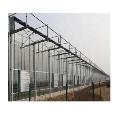 China Stable Structure Multi-span Venlo Type Glass Greenhouse For Hydroponic Growing System for sale