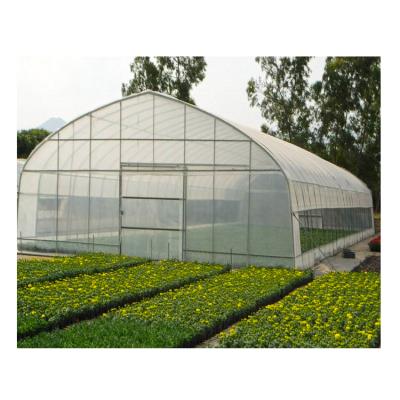 China Vegetable Planting Single Type Film Plant Outlet Span Arch Greenhouse for sale