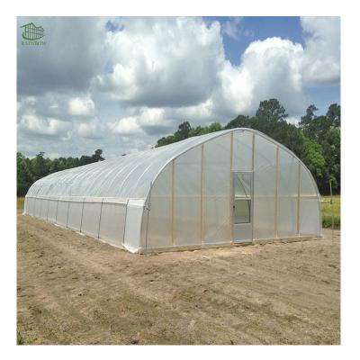 China Vegetable Planting Outlet Span Film Greenhouse Plant Single Arch Type For Sale for sale