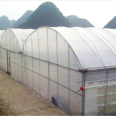 China Stable Structure Modern Agricultural Multi-span Arched Plastic Film Climate Control Greenhouse for sale