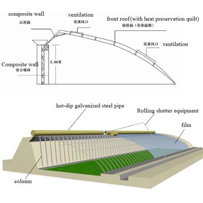 China Stable Structure Saving Sunlight Agricultural Planting Greenhouse for sale