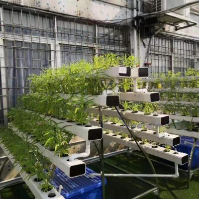 China New Plastic Greenhouse Hydroponics NFT Agricultural System For Vegetables for sale