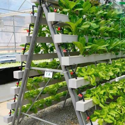 China Good Quality Big Smart Farm NFT Greenhouse Hydroponic Growing System for sale