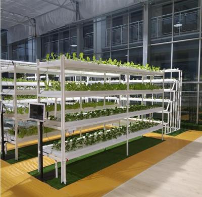 China Plastic Grow Bed DWC Plastic Hydroponic System For Greenhouse for sale