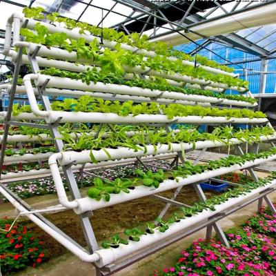 China Modern Agricultural Type Greenhouse PVC New Hydroponic Planting System for sale