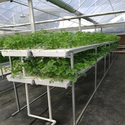 China PVC DWC Vertical Hydroponics Growing System For Agriculture Greenhouse For Sale for sale