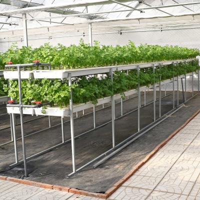 China PVC DWC Hydroponics System Growing View For Greenhouse for sale