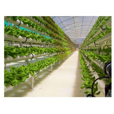 China Hydroponics Growing System PVC Channel Tube NFT Hydropnics For Soilless Growing Greenhouse for sale