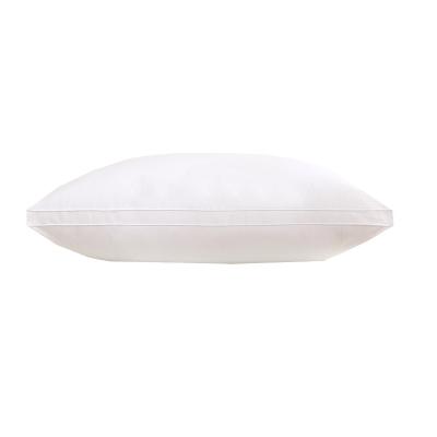 China Hilton Hotel Pillow For Sell Five Star Anti-Static Pillow by Hilton Pillow Luxurious Home Double Line1000g for sale