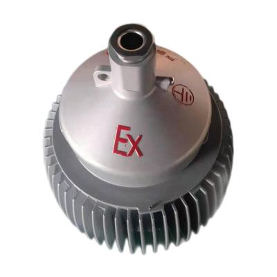 China Die-casting Lighting 20W 30W LED Industrial Aluminum + Tempered Glass Explosion Proof Light NEYSA IECEx ATEx CNEx CLEx ccc Professional Ex Lamp Anti Explosion Proof 50000 Hours for sale