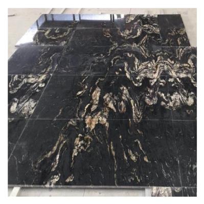 China Modern Brazilian Black Granite Machine Cutting Tiles Price for sale