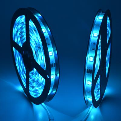 China Richshining LED Strip Light Waterproof BT wifi 5050 LANDSCAPE flexible light 5meter/10meter led strip light colorful change for sale