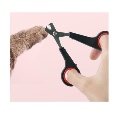 China Viable Wholesale Cat And Dog Nail Cutter Pet Puppy Grooming Tool Scissors Stainless Steel Trimmer for sale